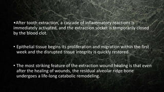 •After tooth extraction, a cascade of inflammatory reactions is
immediately activated, and the extraction socket is temporarily closed
by the blood clot.
• Epithelial tissue begins its proliferation and migration within the first
week and the disrupted tissue integrity is quickly restored.
• The most striking feature of the extraction wound healing is that even
after the healing of wounds, the residual alveolar ridge bone
undergoes a life-long catabolic remodeling.
 