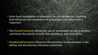 • Since bone metabolism is dependent on cell metabolism, anything
that influences cell metabolism of osteoblasts and osteoclasts is
important.
• The thyroid hormone affects the rate of metabolism of cells in general
and hence the activity of both, the osteoblasts and osteoclasts.
• Parathyroid hormone influences the excretion of phosphorous in the
kidney and also directly influences osteoclasts.
 