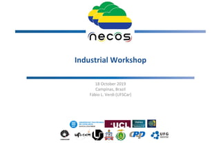 Industrial Workshop
18 October 2019
Campinas, Brazil
Fábio L. Verdi (UFSCar)
1
 