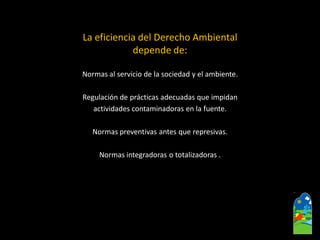 La eficiencia del Derecho Ambiental depende de: 
Normas al servicio de la sociedad y el ambiente. 
Regulación de prácticas adecuadas que impidan 
actividades contaminadoras en la fuente. 
Normas preventivas antes que represivas. 
Normas integradoras o totalizadoras .  