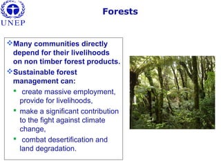 Forests
Many communities directly
depend for their livelihoods
on non timber forest products.
Sustainable forest
management can:
 create massive employment,
provide for livelihoods,
 make a significant contribution
to the fight against climate
change,
 combat desertification and
land degradation.
 