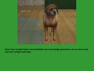 Haar lieve hondje Daisy was inmiddels een oud hondje geworden, en nu was ze toe aan een rustige oude dag. 