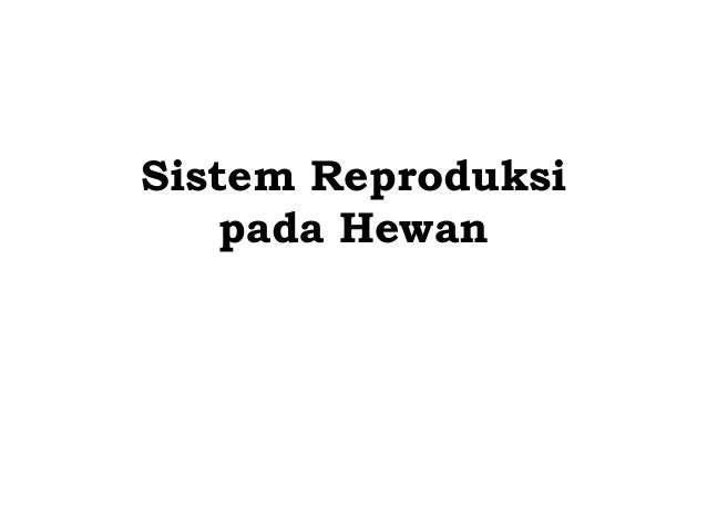 Contoh Hewan Mamalia Dan Reptil - Lowongan Kerja Terbaru