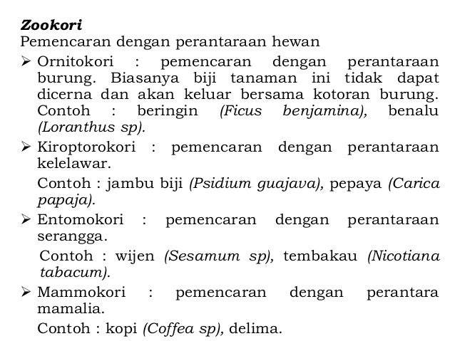 9 2. sistem reproduksi