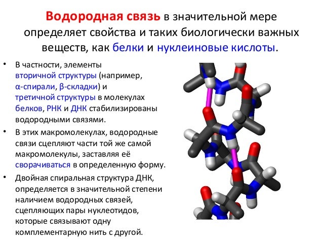 Фото ВОДОРОДНЫЕ СВЯЗИ МЕЖДУ ГРУППАМИ