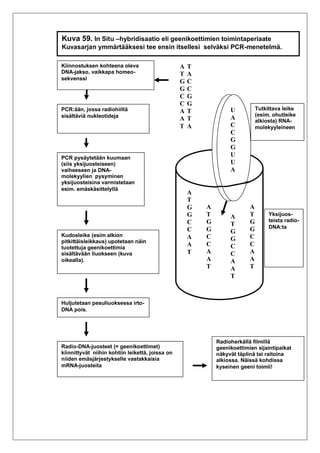 solubiologian-tutkimusmenetelmi-pdf
