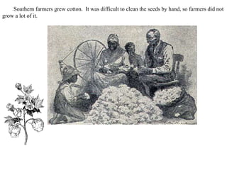 Southern farmers grew cotton. It was difficult to clean the seeds by hand, so farmers did not
grow a lot of it.
 