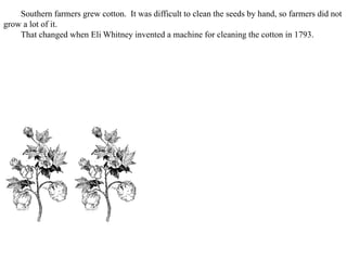 Southern farmers grew cotton. It was difficult to clean the seeds by hand, so farmers did not
grow a lot of it.
That changed when Eli Whitney invented a machine for cleaning the cotton in 1793.
 