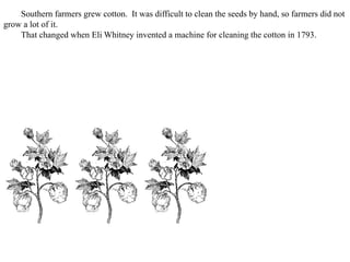 Southern farmers grew cotton. It was difficult to clean the seeds by hand, so farmers did not
grow a lot of it.
That changed when Eli Whitney invented a machine for cleaning the cotton in 1793.
 