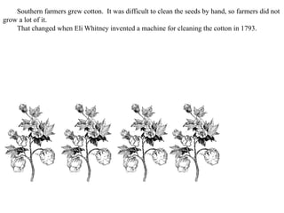 Southern farmers grew cotton. It was difficult to clean the seeds by hand, so farmers did not
grow a lot of it.
That changed when Eli Whitney invented a machine for cleaning the cotton in 1793.
 