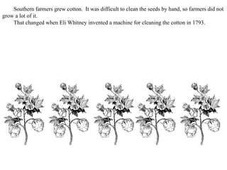 Southern farmers grew cotton. It was difficult to clean the seeds by hand, so farmers did not
grow a lot of it.
That changed when Eli Whitney invented a machine for cleaning the cotton in 1793.
 