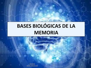 BASES BIOLÓGICAS DE LA
MEMORIA
BASES
BIOLÓGICAS
1
 