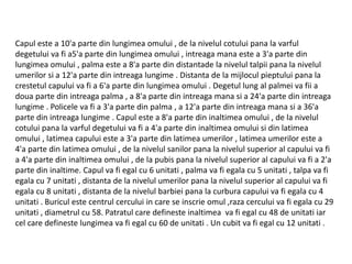 Capul este a 10'a parte din lungimea omului , de la nivelul cotului pana la varful
degetului va fi a5'a parte din lungimea omului , intreaga mana este a 3'a parte din
lungimea omului , palma este a 8'a parte din distantade la nivelul talpii pana la nivelul
umerilor si a 12'a parte din intreaga lungime . Distanta de la mijlocul pieptului pana la
crestetul capului va fi a 6'a parte din lungimea omului . Degetul lung al palmei va fii a
doua parte din intreaga palma , a 8'a parte din intreaga mana si a 24'a parte din intreaga
lungime . Policele va fi a 3'a parte din palma , a 12'a parte din intreaga mana si a 36'a
parte din intreaga lungime . Capul este a 8'a parte din inaltimea omului , de la nivelul
cotului pana la varful degetului va fi a 4'a parte din inaltimea omului si din latimea
omului , latimea capului este a 3'a parte din latimea umerilor , latimea umerilor este a
4'a parte din latimea omului , de la nivelul sanilor pana la nivelul superior al capului va fi
a 4'a parte din inaltimea omului , de la pubis pana la nivelul superior al capului va fi a 2'a
parte din inaltime. Capul va fi egal cu 6 unitati , palma va fi egala cu 5 unitati , talpa va fi
egala cu 7 unitati , distanta de la nivelul umerilor pana la nivelul superior al capului va fi
egala cu 8 unitati , distanta de la nivelul barbiei pana la curbura capului va fi egala cu 4
unitati . Buricul este centrul cercului in care se inscrie omul ,raza cercului va fi egala cu 29
unitati , diametrul cu 58. Patratul care defineste inaltimea va fi egal cu 48 de unitati iar
cel care defineste lungimea va fi egal cu 60 de unitati . Un cubit va fi egal cu 12 unitati .
 