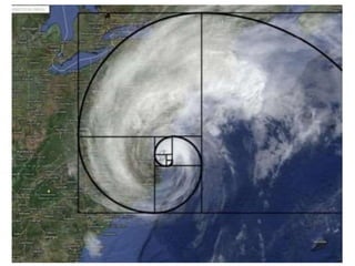 9.compozitia. centrul de interes. proportiile