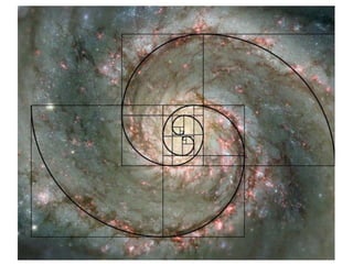 9.compozitia. centrul de interes. proportiile