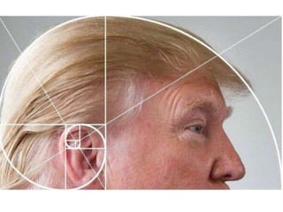 9.compozitia. centrul de interes. proportiile