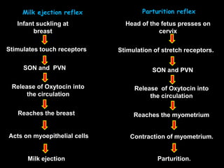Physiology of Parturition & Lactation | PPTX
