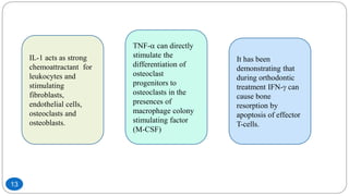 IL-1 acts as strong
chemoattractant for
leukocytes and
stimulating
fibroblasts,
endothelial cells,
osteoclasts and
osteoblasts.
TNF- can directly
stimulate the
differentiation of
osteoclast
progenitors to
osteoclasts in the
presences of
macrophage colony
stimulating factor
(M-CSF)
It has been
demonstrating that
during orthodontic
treatment IFN- can
cause bone
resorption by
apoptosis of effector
T-cells.
13
 