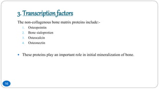3. Transcription factors
The non-collagenous bone matrix proteins include:-
1. Osteopointin
2. Bone sialoprotien
3. Osteocalcin
4. Osteonectin
 These proteins play an important role in initial mineralization of bone.
16
 