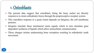1. Osteoblasts
 The present data suggest that osteoblasts lining the bony socket are directly
responsive to strain orthodontic forces through the proprioceptive receptor system.
 This osteoblast response to a great extent depends on Integrins, the cell membrane
proteins.
 Integrins translate these mechanical strain signals which in turn stimulate gene
dependent synthesis of ligands which allow intracellular communication.
 These changes initiate undermining bone resorption resulting in orthodontic tooth
movement.
18
 