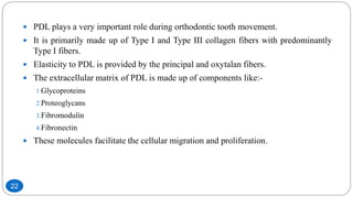  PDL plays a very important role during orthodontic tooth movement.
 It is primarily made up of Type I and Type III collagen fibers with predominantly
Type I fibers.
 Elasticity to PDL is provided by the principal and oxytalan fibers.
 The extracellular matrix of PDL is made up of components like:-
1.Glycoproteins
2.Proteoglycans
3.Fibromodulin
4.Fibronectin
 These molecules facilitate the cellular migration and proliferation.
22
 