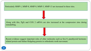Particularly MMP-1, MMP-8, MMP-9, MMP-3, MMP-13 are increased in these sites.
Along with this, PgE2 and COX 2 mRNA are also increased at the compression sites during
remodelling.
Recent evidence suggest important roles of other molecules such as Sox-9, parathyroid hormone-
related protein and Indian Hedgehog protein in orthodontic tooth movement.
26
 