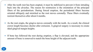  After the tooth root has been erupted, it must be stabilized to prevent it from intruding
back into the alveolus. The reason for reintrusion is the orientation of the principal
fibers of the periodontium. During forced eruption, the periodontal fibers become
oriented obliquely and stretched as the root moves coronally. These fibers eventually
reorient themselves after about 6 months.
 As the root erupts, the gingiva moves coronally with the tooth. As a result, the clinical
crown length becomes shorter after extrusion. A gingival surgery is necessary to create
ideal gingival margin heights.
 If bone has followed the root during eruption, a flap is elevated, and the appropriate
amount of bone is removed to match the bone height of the adjacent teeth.
62
 