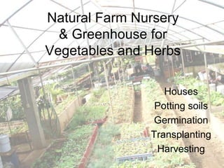 Natural Farm Nursery
& Greenhouse for
Vegetables and Herbs
Houses
Potting soils
Germination
Transplanting
Harvesting
 