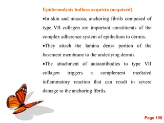 Page 190
Epidermolysis bullosa acquista (acquired)
In skin and mucosa, anchoring fibrils composed of
type VII collagen are important constituents of the
complex adherence system of epithelium to dermis.
They attach the lamina densa portion of the
basement membrane to the underlying dermis.
The attachment of autoantibodies to type VII
collagen triggers a complement mediated
inflammatory reaction that can result in severe
damage to the anchoring fibrils.
 