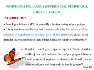 Page 56
PEMPHIGUS FOLIACEUS (SUPERFICIAL PEMPHIGUS,
FOGO SELVAGEM)
INTRODUCTION
 Pemphigus foliaceus (PF) is generally a benign variety of pemphigus.
 It is an autoimmune disease that is characterised by loss of intracellular
cohesion of keratinocytes in upper parts of the epidermis, either in the
granular layer (acantholysis) and blister formation within the epidermis83
 Brazilian pemphigus [fogo selvagem (FS) or Brazilian
wildfire] is a mild endemic form of pemphigus foliaceus
found in tropical regions, particularly in Brazil, that is
often in children and frequently in family groups72.
 
