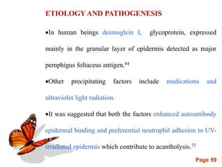 Page 59
ETIOLOGY AND PATHOGENESIS
In human beings desmoglein I, glycoprotein, expressed
mainly in the granular layer of epidermis detected as major
pemphigus foliaceus antigen.84
Other precipitating factors include medications and
ultraviolet light radiation.
It was suggested that both the factors enhanced autoantibody
epidermal binding and preferential neutrophil adhesion to UV-
irradiated epidermis which contribute to acantholysis.72
 