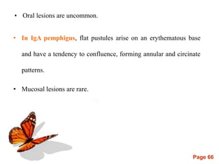 Page 66
• Oral lesions are uncommon.
• In IgA pemphigus, flat pustules arise on an erythematous base
and have a tendency to confluence, forming annular and circinate
patterns.
• Mucosal lesions are rare.
 