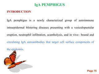 Page 75
IgA PEMPHIGUS
INTRODUCTION
IgA pemphigus is a newly characterized group of autoimmune
intraepidermal blistering diseases presenting with a vesiculopustular
eruption, neutrophil infiltration, acantholysis, and in vivo– bound and
circulating IgA autoantibodies that target cell surface components of
the epidermis.
 