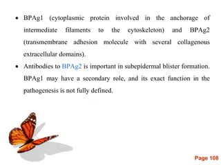 Page 108
 BPAg1 (cytoplasmic protein involved in the anchorage of
intermediate filaments to the cytoskeleton) and BPAg2
(transmembrane adhesion molecule with several collagenous
extracellular domains).
 Antibodies to BPAg2 is important in subepidermal blister formation.
BPAg1 may have a secondary role, and its exact function in the
pathogenesis is not fully defined.
 