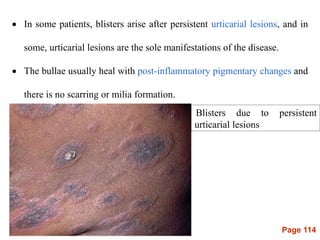 Page 114
 In some patients, blisters arise after persistent urticarial lesions, and in
some, urticarial lesions are the sole manifestations of the disease.
 The bullae usually heal with post-inflammatory pigmentary changes and
there is no scarring or milia formation.
Blisters due to persistent
urticarial lesions
 