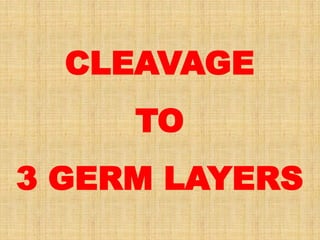 CLEAVAGE
TO
3 GERM LAYERS
 