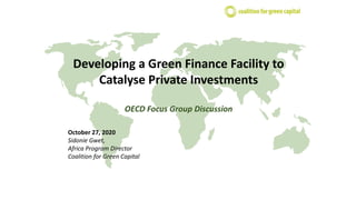 Developing a Green Finance Facility to
Catalyse Private Investments
OECD Focus Group Discussion
October 27, 2020
Sidonie Gwet,
Africa Program Director
Coalition for Green Capital
 