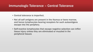 Immunologic Tolerance – Central Tolerance
▪ Central tolerance is imperfect.
▪ Not all self antigens are present in the thymus or bone marrow,
and hence lymphocytes bearing receptors for such autoantigens
escape into the periphery.
▪ Self-reactive lymphocytes that escape negative selection can inflict
tissue injury unless they are eliminated or muzzled in the
peripheral tissues
 