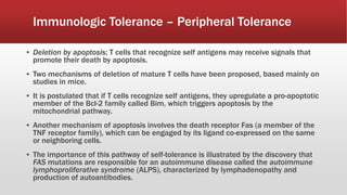 ▪ Deletion by apoptosis; T cells that recognize self antigens may receive signals that
promote their death by apoptosis.
▪ Two mechanisms of deletion of mature T cells have been proposed, based mainly on
studies in mice.
▪ It is postulated that if T cells recognize self antigens, they upregulate a pro-apoptotic
member of the Bcl-2 family called Bim, which triggers apoptosis by the
mitochondrial pathway.
▪ Another mechanism of apoptosis involves the death receptor Fas (a member of the
TNF receptor family), which can be engaged by its ligand co-expressed on the same
or neighboring cells.
▪ The importance of this pathway of self-tolerance is illustrated by the discovery that
FAS mutations are responsible for an autoimmune disease called the autoimmune
lymphoproliferative syndrome (ALPS), characterized by lymphadenopathy and
production of autoantibodies.
Immunologic Tolerance – Peripheral Tolerance
 