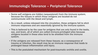 Immunologic Tolerance – Peripheral Tolerance
▪ Some self antigens are hidden (sequestered) from the immune system,
because the tissues in which these antigens are located do not
communicate with the blood and lymph.
▪ As a result, unless released into the circulation, these antigens fail to elicit
immune responses and are essentially ignored by the immune system.
▪ This is believed to be the case for antigens that are only found in the testis,
eye, and brain, all of which are called immune-privileged sites because
antigens located in these sites tend to be shielded from the immune
system.
▪ If the antigens are released from these tissues; as a consequence of
trauma or infection, the result may be an immune response that leads to
prolonged tissue inflammation and injury.
▪ This is the postulated mechanism for post-traumatic orchitis and uveitis.
 