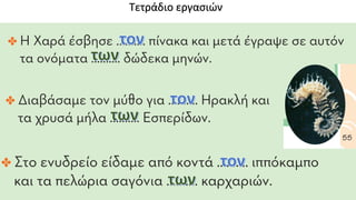 Τετράδιο εργασιών
 