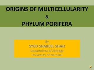 ORIGINS OF MULTICELLULARITY
&
PHYLUM PORIFERA
By
SYED SHAKEEL SHAH
Department of Zoology
University of Narowal
 