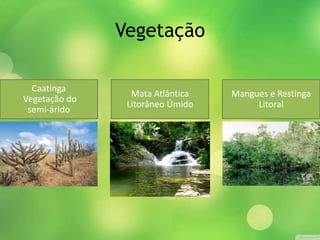 Vegetação
Caatinga
Vegetação do
semi-árido
Mata Atlântica
Litorâneo Úmido
Mangues e Restinga
Litoral
 