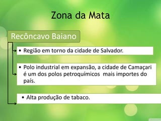 Zona da Mata
• Alta produção de tabaco.
Recôncavo Baiano
• Região em torno da cidade de Salvador.
• Polo industrial em expansão, a cidade de Camaçari
é um dos polos petroquímicos mais importes do
país.
 