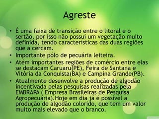 Agreste
• É uma faixa de transição entre o litoral e o
sertão, por isso não possui um vegetação muito
definida, tendo características das duas regiões
que a cercam.
• Importante pólo de pecuária leiteira.
• Atém importantes regiões de comércio entre elas
se destacam Caruaru(PE), Feira de Santana e
Vitória da Conquista(BA) e Campina Grande(PB).
• Atualmente desenvolve a produção de algodão
incentivada pelas pesquisas realizadas pela
EMBRAPA ( Empresa Brasileiras de Pesquisa
Agropecuária).Hoje em dia já é possível a
produção de algodão colorido, que tem um valor
muito mais elevado que o branco.
 