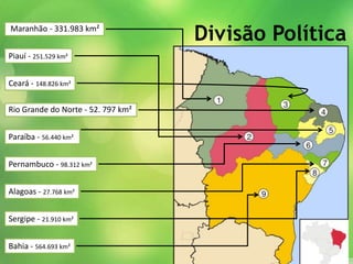 Divisão PolíticaMaranhão - 331.983 km²
Piauí - 251.529 km²
Ceará - 148.826 km²
Rio Grande do Norte - 52. 797 km²
Paraíba - 56.440 km²
Pernambuco - 98.312 km²
Alagoas - 27.768 km²
Sergipe - 21.910 km²
Bahia - 564.693 km²
 