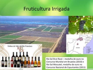 Fruticultura Irrigada
Rio Sol Brut Rosé – medalha de ouro no
Concurso Mundial em Bruxelas (2010) e
Rio Sol Moscatel, medalha de ouro no
Concurso Nacional de Espumantes (2011)
 