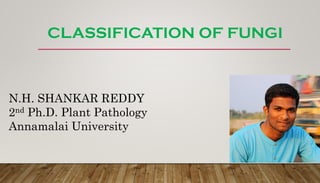 CLASSIFICATION OF FUNGI
N.H. SHANKAR REDDY
2nd Ph.D. Plant Pathology
Annamalai University
 