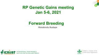 RP Genetic Gains meeting
Jan 5-6, 2021
Himabindu Kudapa
Forward Breeding
 