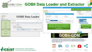 Research Program Genetic Gains (RPGG) Review Meeting 2021: Forward Breeding By Dr Himabindu Kudapa